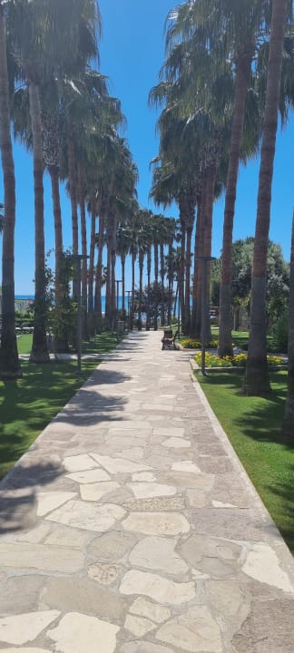 Strand Arum Barut Collection