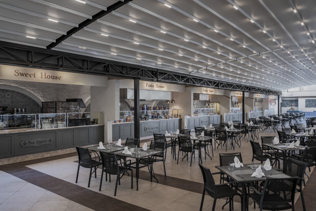 Gastro Papillon Ayscha