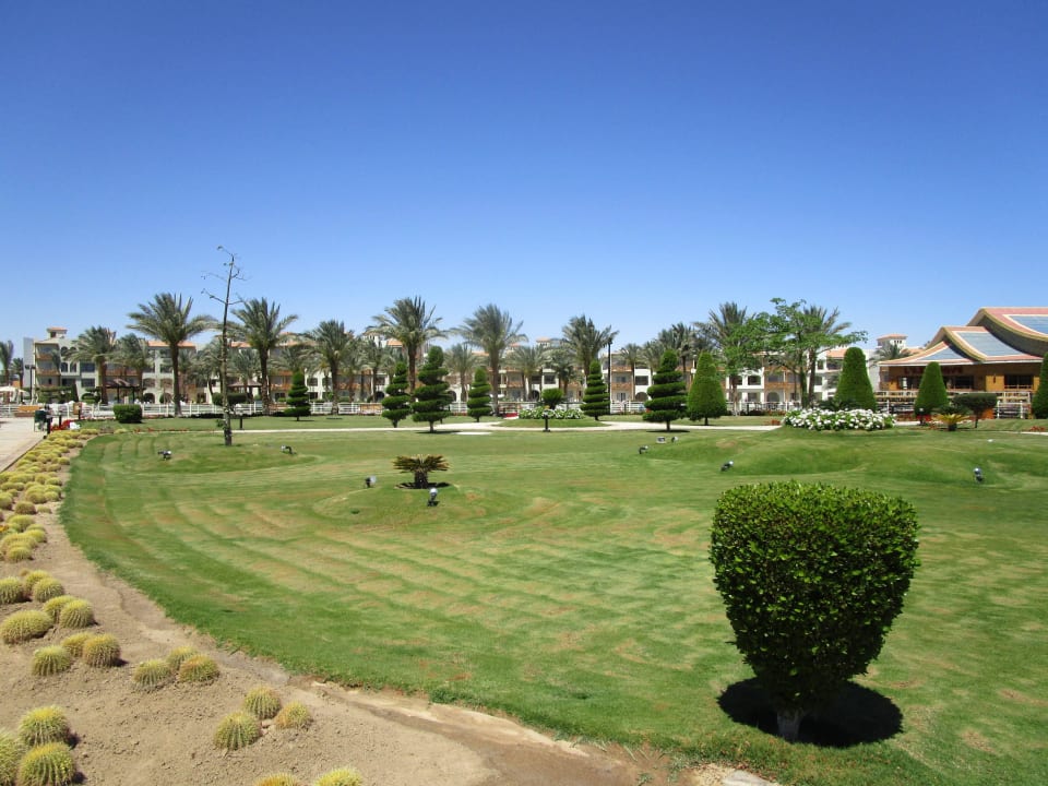 Kakteenweg Pickalbatros Dana Beach Resort - Hurghada
