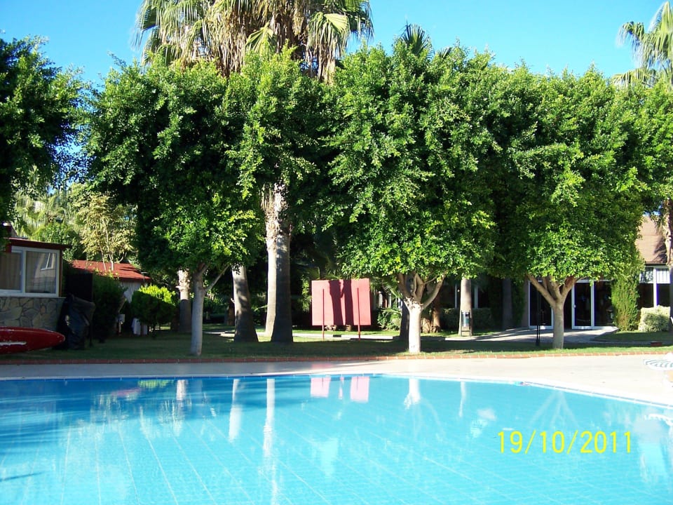 Kinderpool Hotel Royal Garden Beach