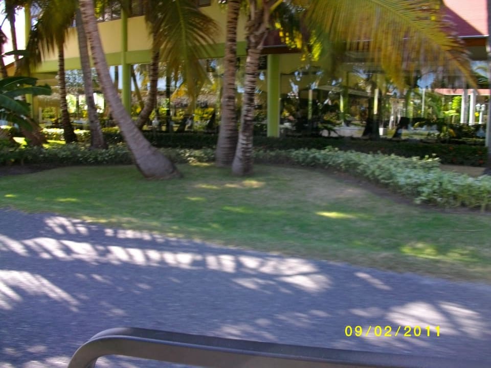 Bimmelbahn Rundfahrt Grand Palladium Select Bávaro Resort & Spa