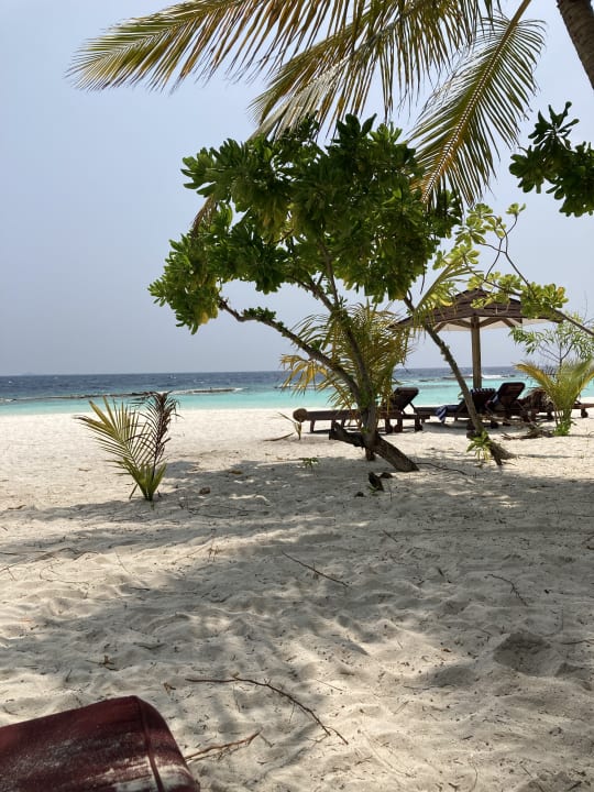 Strand Ellaidhoo Maldives by Cinnamon
