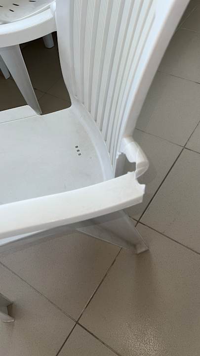 Zimmer Hotel Catty Cats Garden