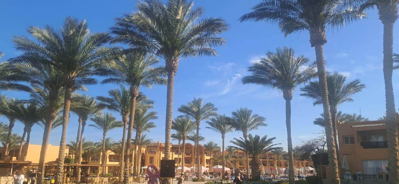 Gartenanlage Stella Beach Resort & Spa Makadi Bay