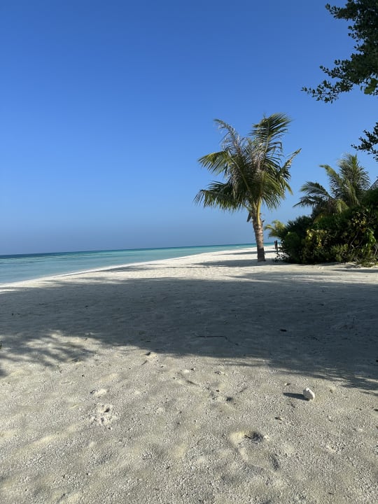 Strand Jawakara Islands Maldives