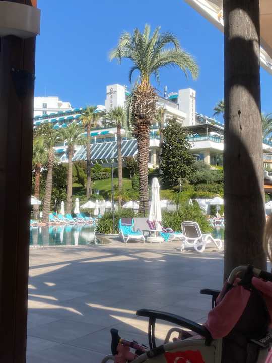 Pool Side Star Elegance