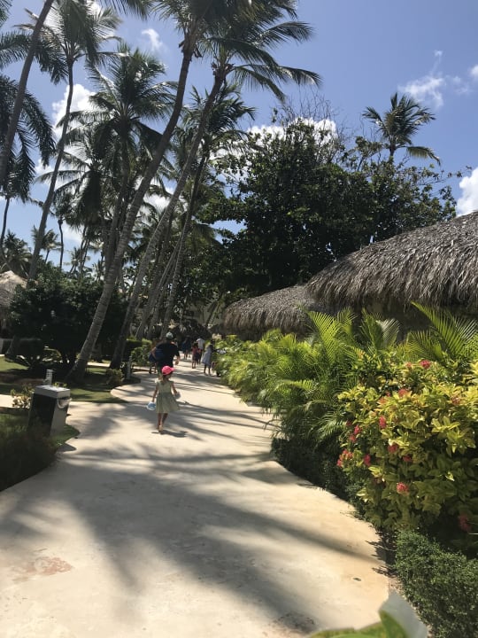 Gartenanlage Hotel Viva Dominicus Beach by Wyndham - All Inclusive Resort