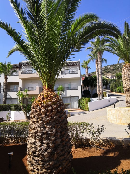 Außenansicht Grand Hotel Holiday Resort