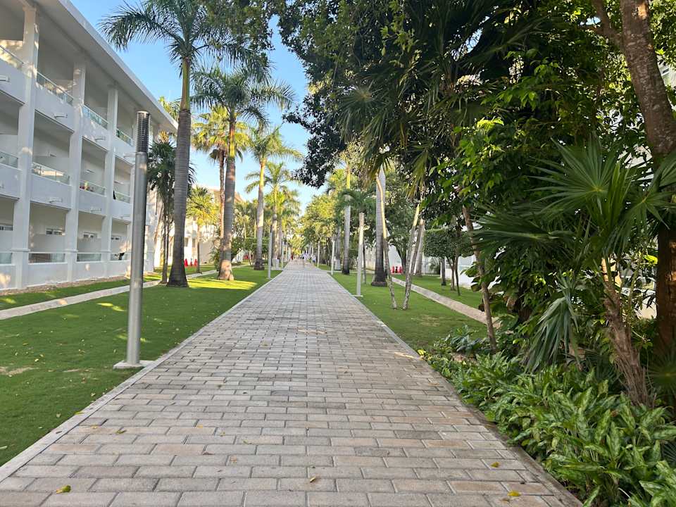 Gartenanlage Hotel Riu Playacar