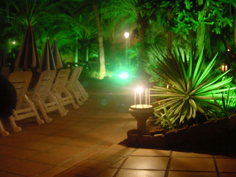 Gartenanlage bei Nacht Hotel Parque Tropical