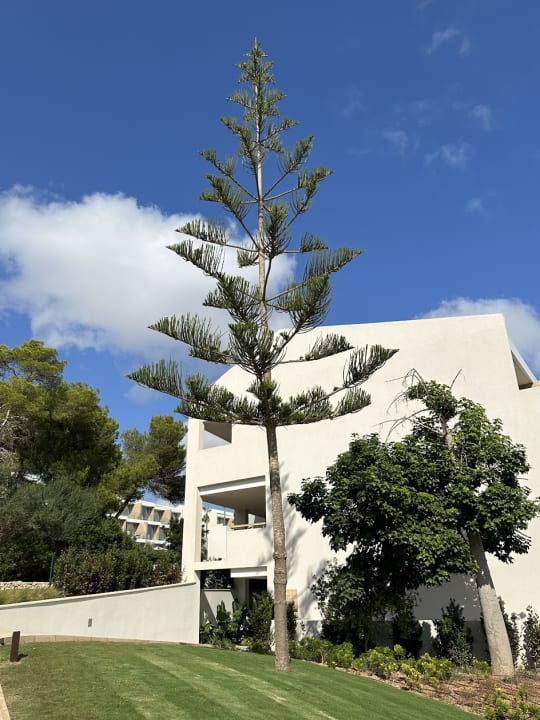 Außenansicht Ikos Porto Petro