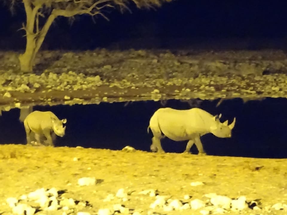 Ausblick Okaukuejo Camp