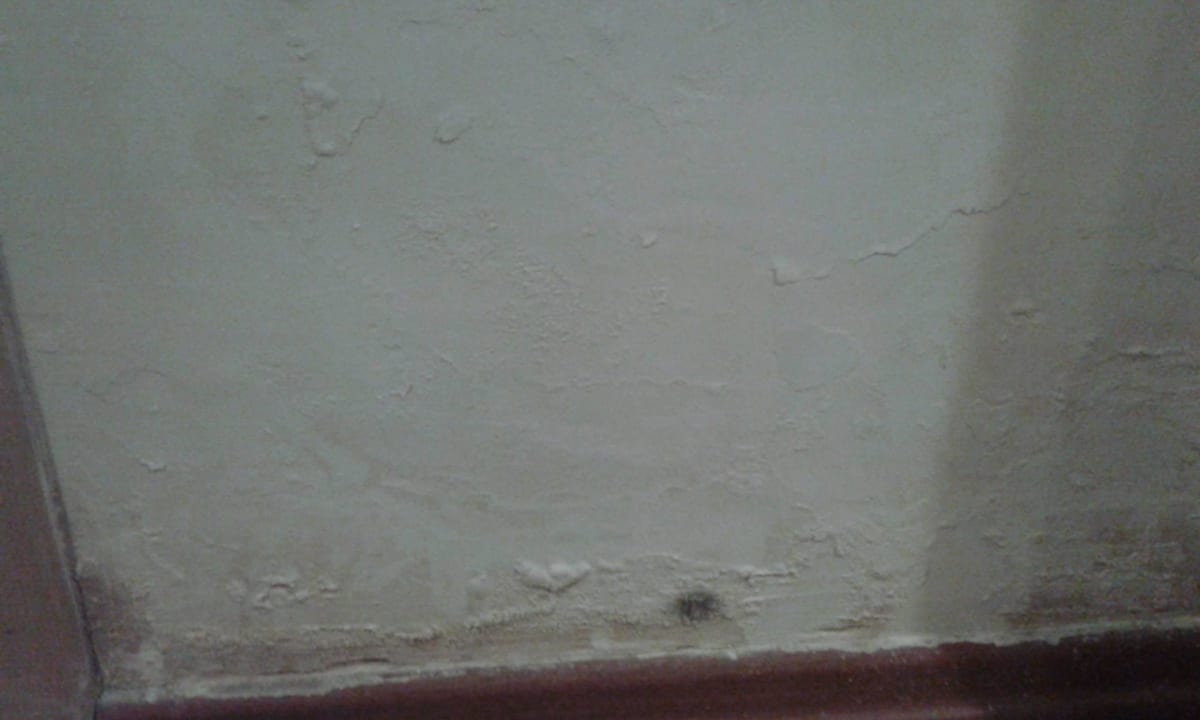 Zimmerwand Turunc Resort Hotel