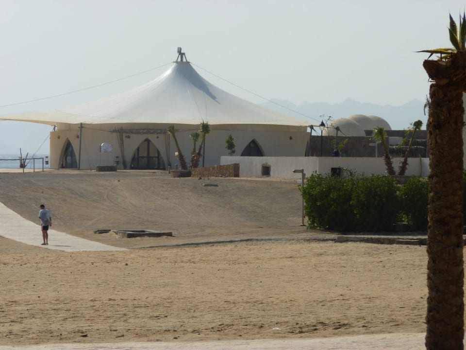 Fischbar Hotel Gorgonia Beach Resort