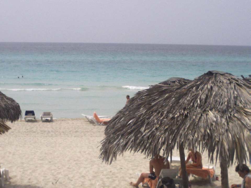 Karibik Strand Starfish Cuatro Palmas