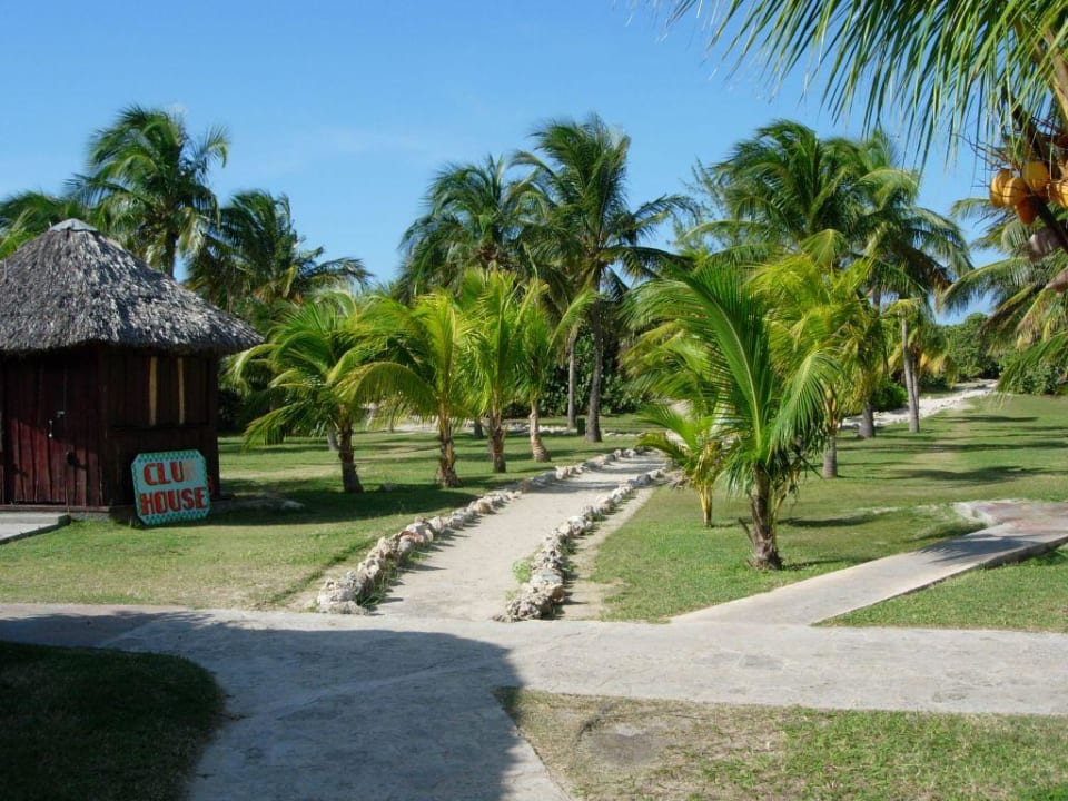 Strand Weg Sol Hicacos