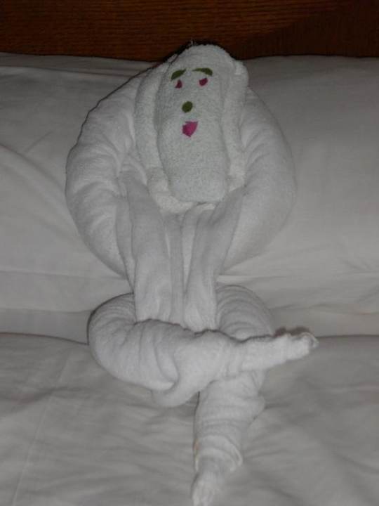 Dekoration Ghazala Gardens