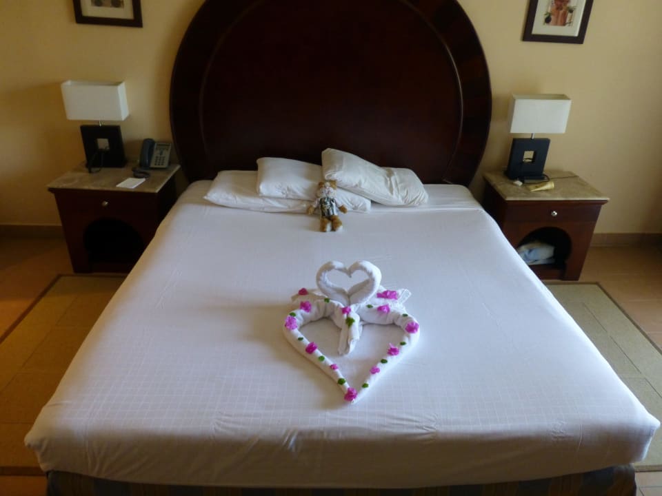 Лебеди Stella Beach Resort & Spa Makadi Bay