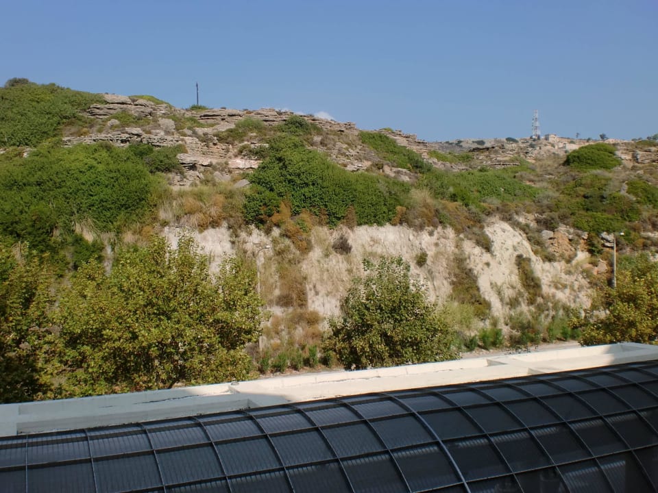 Zimmerausblick zur Landseite Elysium Resort & Spa Hotel