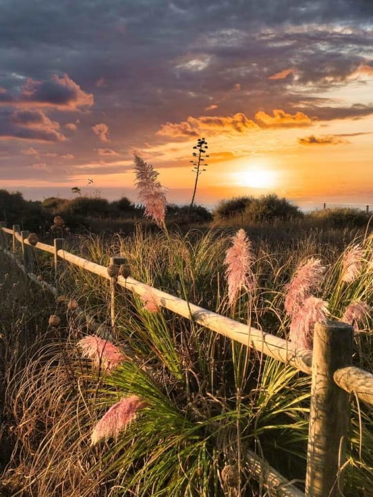 Ausblick Hipotels Playa la Barrosa