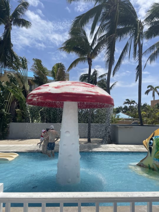 Pool Hotel Riu Playacar