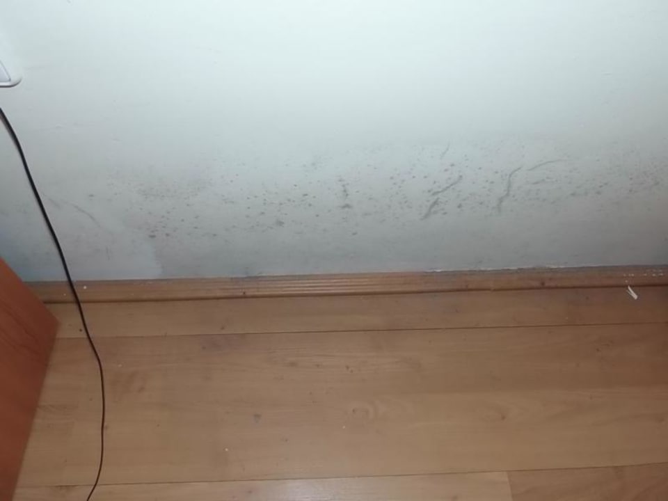 Schimmel Elternzimmer hinter Bett Hotel Kiss Family