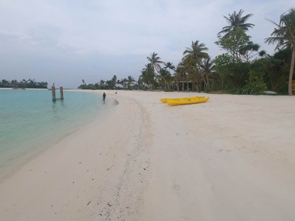 Strand ananea Madivaru Maldives