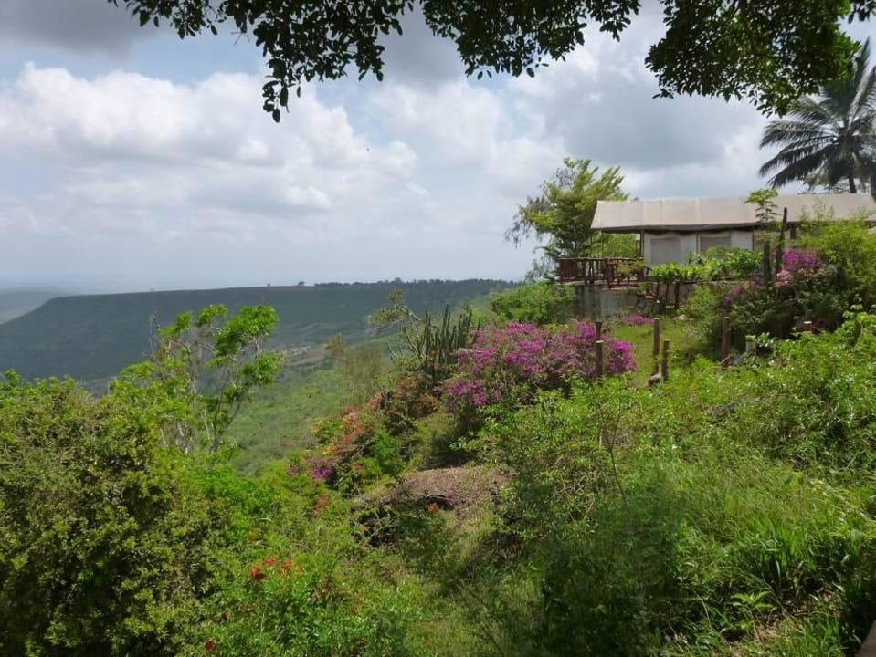 Blick zu den Zelten Shimba Hills Green Safari Lodge
