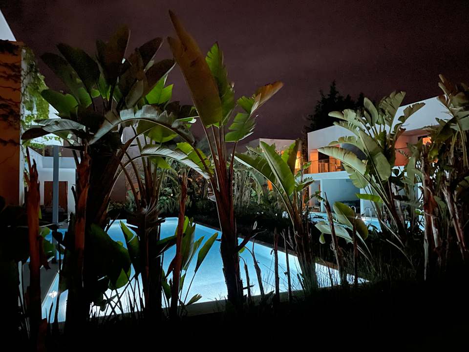 Außenansicht Paloma Finesse