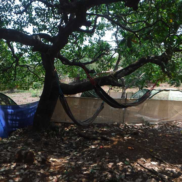 Sonstiges Credo Jungle Resort - Agonda