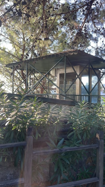 Gartenanlage TUI BLUE Seno - Adults Only