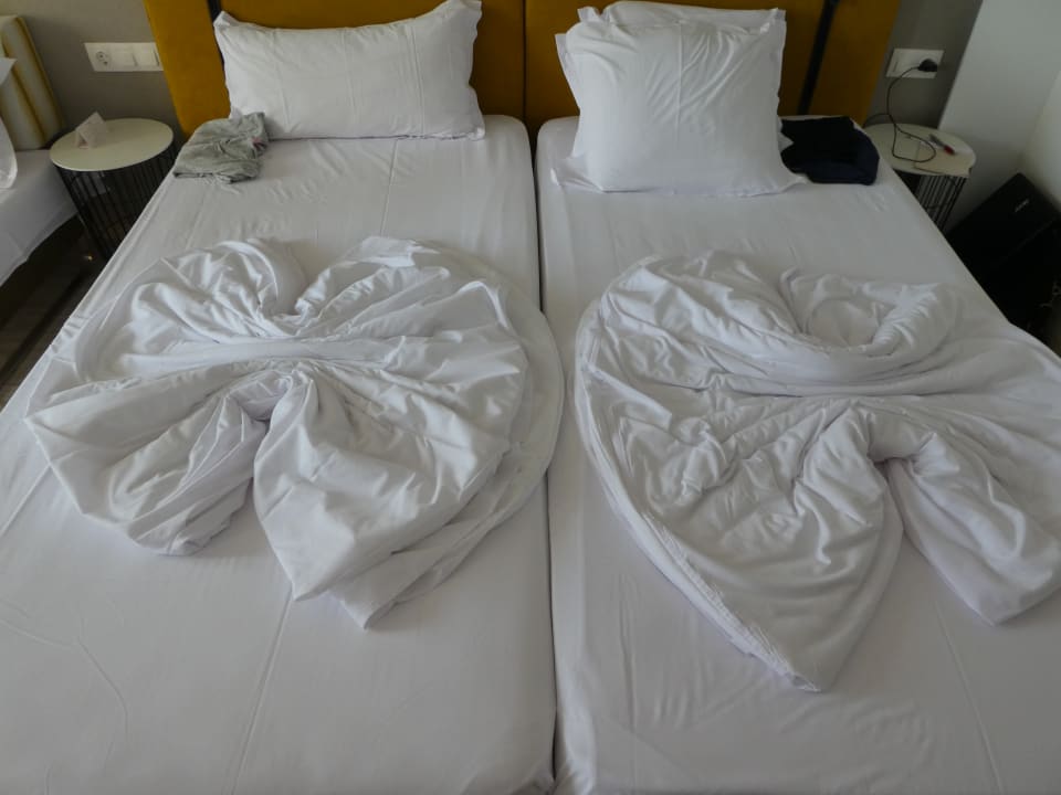 Zimmer GRIFID Encanto Beach