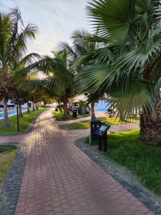 Gartenanlage Meliá Laguna Beach