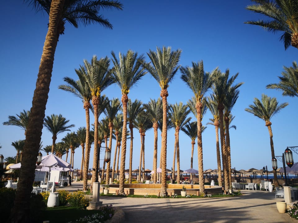 Gartenanlage Makadi Spa - Adults only