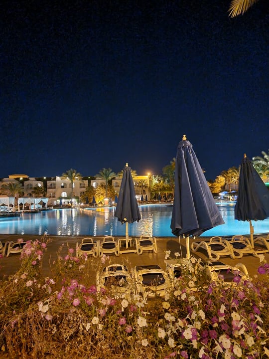 Außenansicht Desert Rose