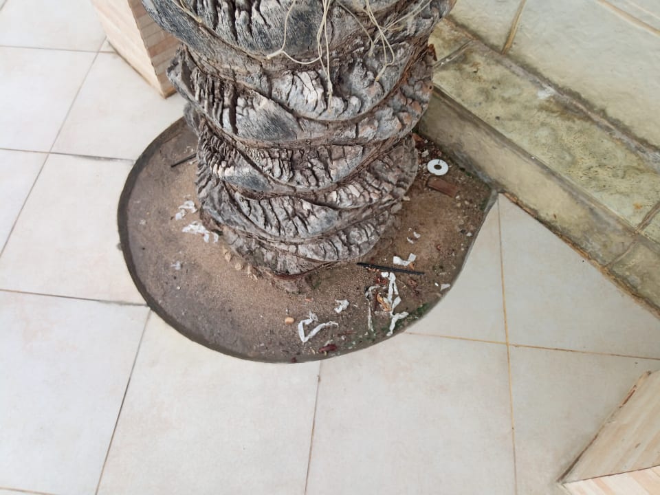 Sonstiges Miramar Al Aqah Beach Resort