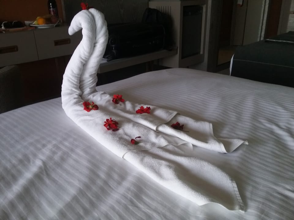 Zimmer Arycanda Kirman Premium