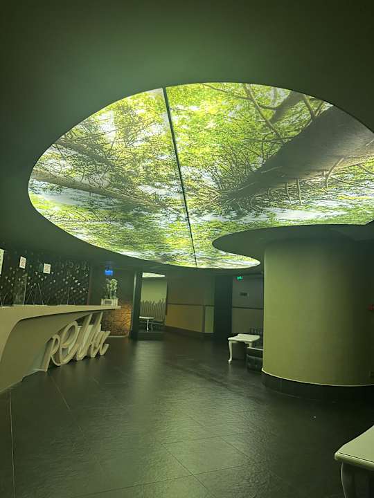 Sport & Freizeit Side Star Elegance