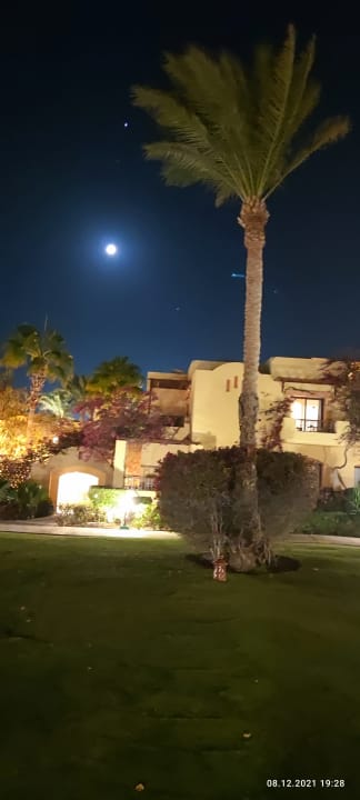 Außenansicht Steigenberger Coraya Beach - Adults only