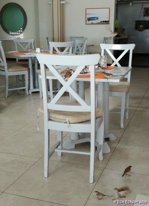 Gastro Hotel Villas Caroline