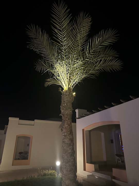 Zimmer Amarina Queen Resort Marsa Alam