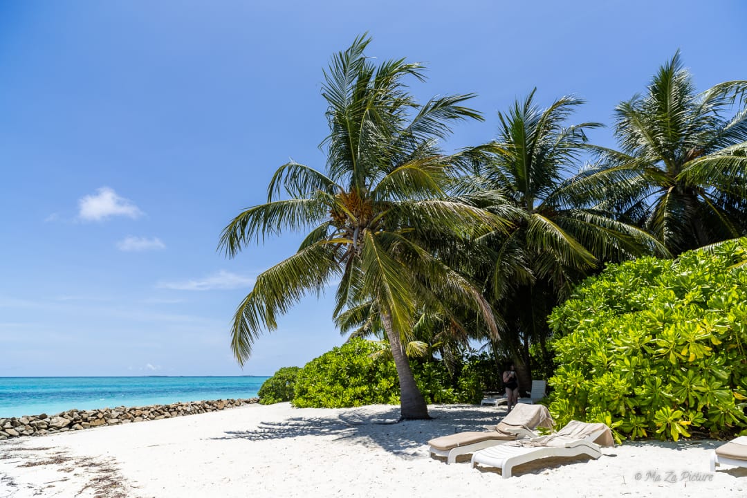 Strand Summer Island Maldives