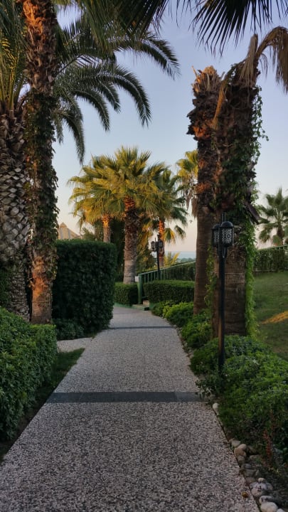 Der Weg zum Strand Paloma Oceana