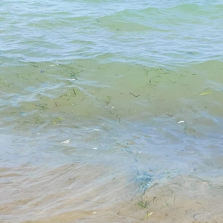 Strand Hotel Royal Nozha