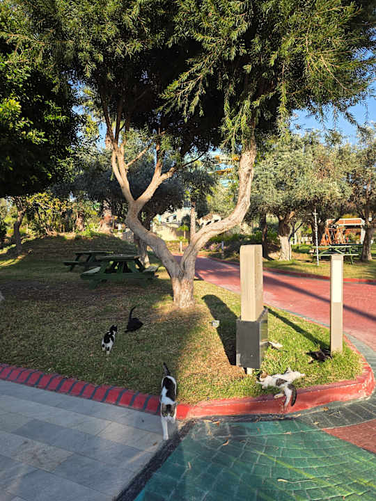 Gartenanlage Fame Residence Lara & Spa