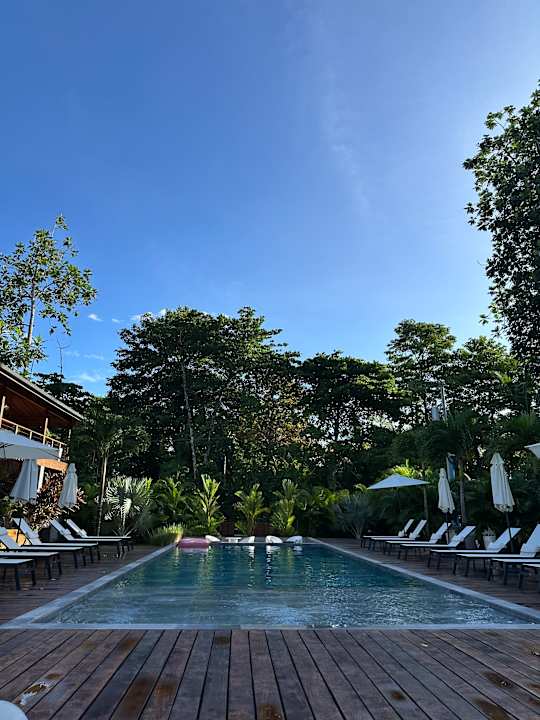 Pool S Boutique Hotel