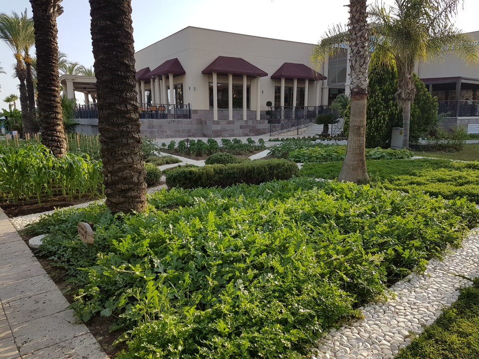 Gartenanlage TUI BLUE Palm Garden