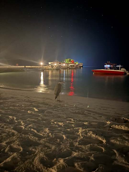 Strand Kuredu Island Resort & Spa