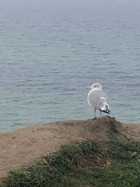 Sonstiges Ostseehotel Wustrow