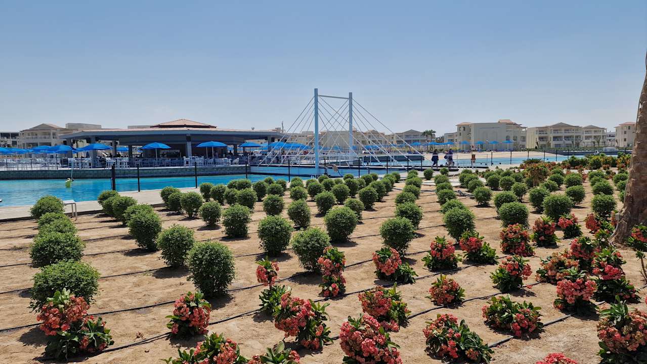 Sonstiges Albatros Makadi Resort